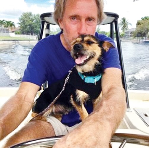 Shelter milestone 400 adoptions in four months News, Sports, Jobs Cape Coral Breeze